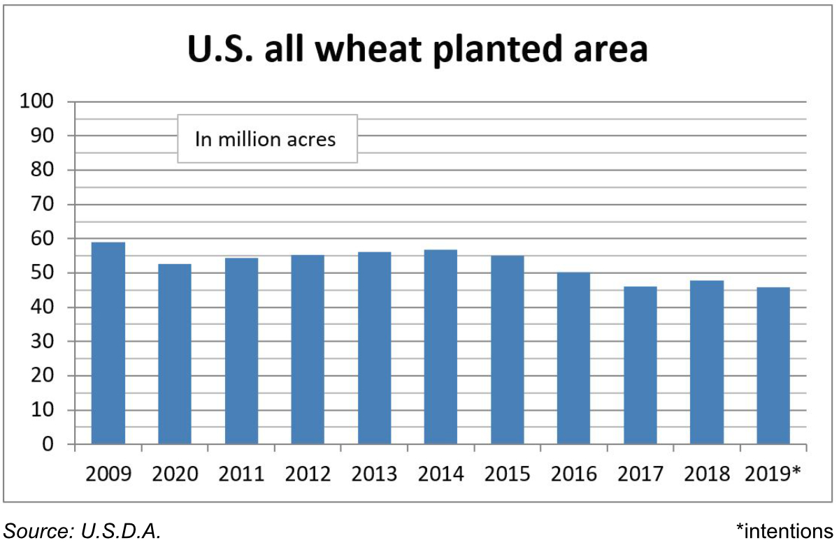 U.S. all wheat planted area chart