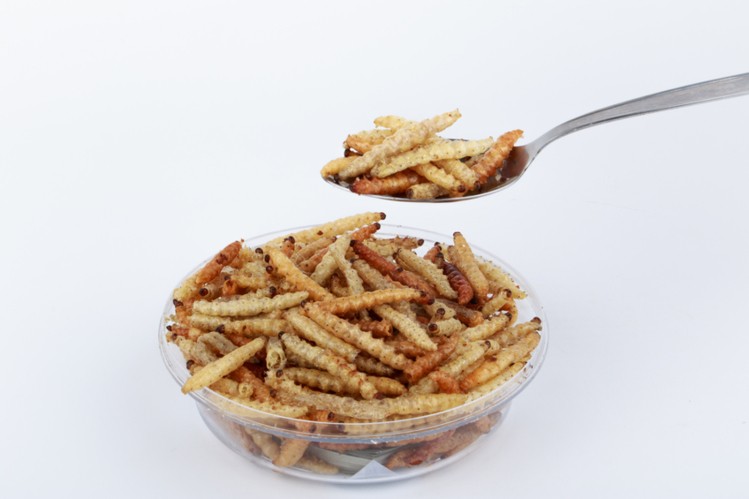 ?iStock.com/Wittayayut
