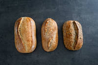 La Brea founders range