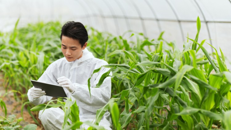 The Chinese authorities aim to have more than 97% of the agricultural products pass food safety inspection by next year. ?Getty Images