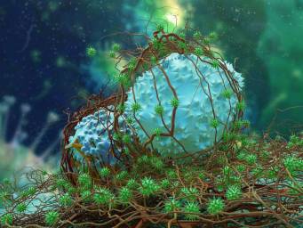 This 'me<em></em>tastasis-blocking' compound may stop the spread of cancer