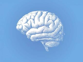 Parkinson's: Study reveals how cancer drug reduces toxic protein in brain