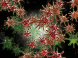 What is shingles?