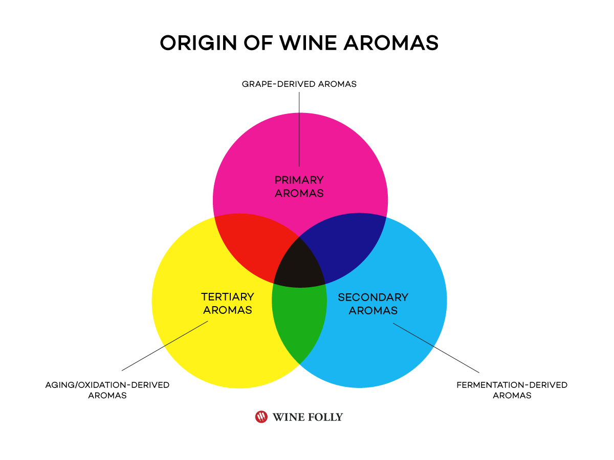 How aromas in wine are derived / wher<em></em>e they originate from