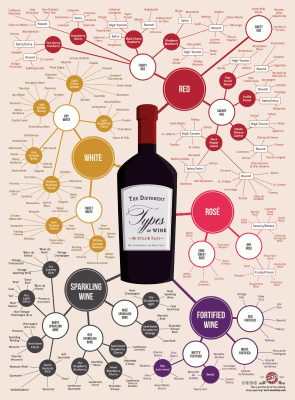 Different Types of Wine Infographic Chart
