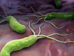 Everything you need to know a<em></em>bout gastritis