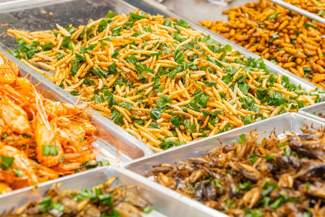 cooked insects including maggots in market
