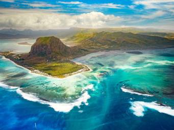 How plants from Mauritius could help fight cancer