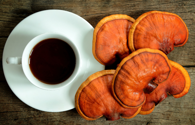 Seniors who co<em></em>nsumed more than two portions of mushroom per week were found to have slower cognitive decline. ?Getty Images