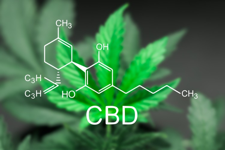 戈特利布说，NDI通知可能是FDA在CBD上迅速采取行动的一种方式