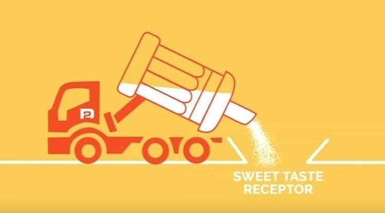 By coating a carrier mineral (silica) with sugars, DouxMatok can deliver an enhanced sensation of sweetness. Picture: DouxMatok