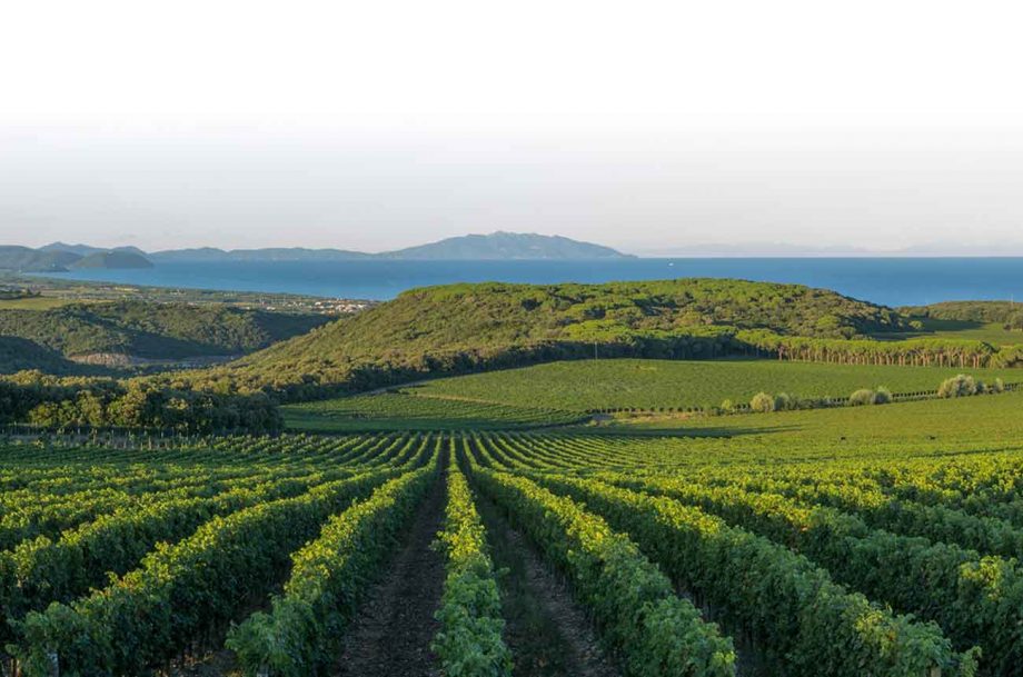 Leo<em></em>nardo Raspini joins Tenuta Argentiera