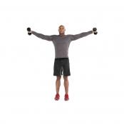 Dumbbell Lateral Raise thumbnail