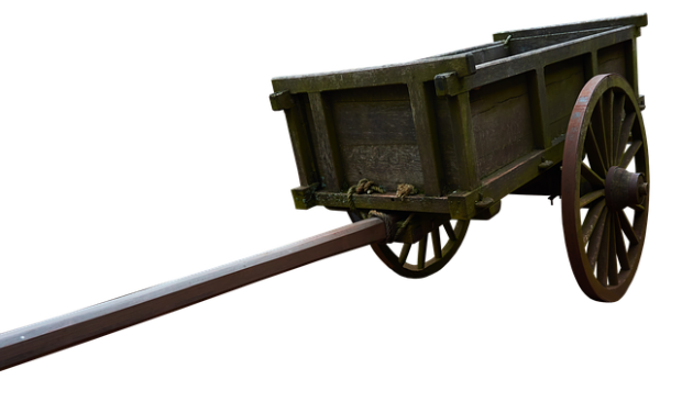 hitch your wagon to a franchise brand