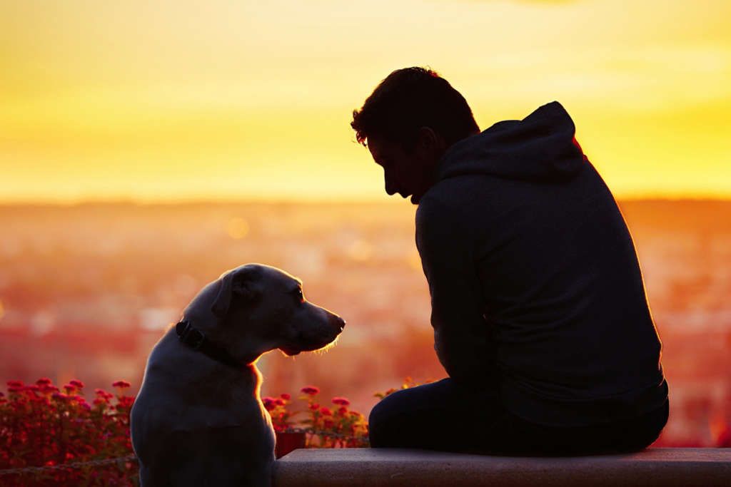 The Difference Between Loyalty Programs and Loyalty to a Brand