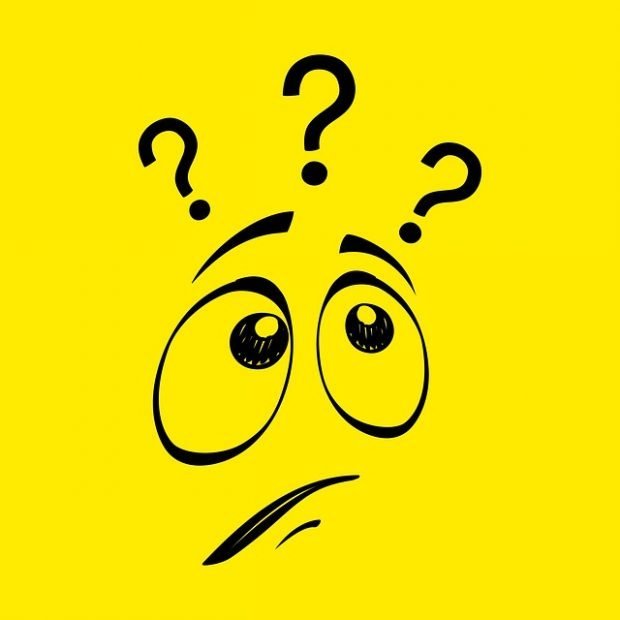 are you right for a franchise business?