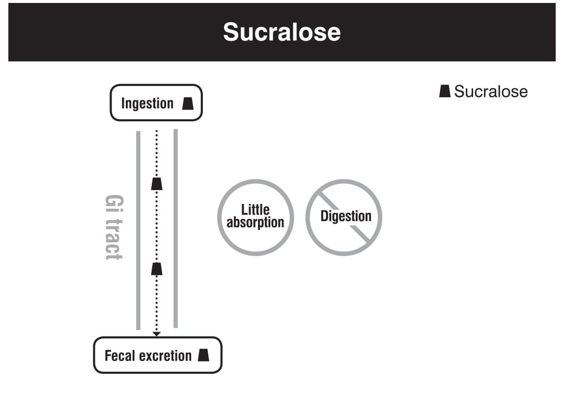 Sucralose digestion absorption me<em></em>tabolism excretion