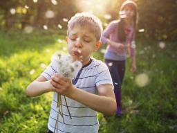 Everything you need to know a<em></em>bout hay fever