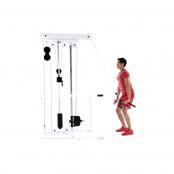 Straight-Arm Pulldown thumbnail