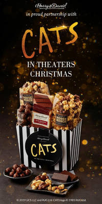 harry-david-universal-pictures-cats