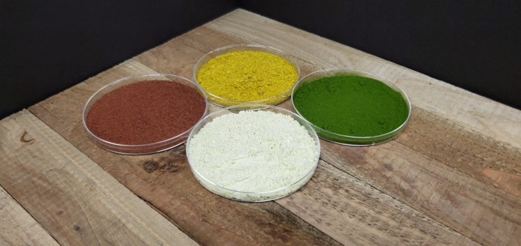San Diego Future Food Company Announces Regulatory Greenlight in Singapore Market ?Triton Algae Innovations