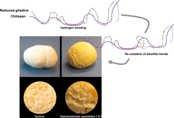 Reorganisation of gluten protein