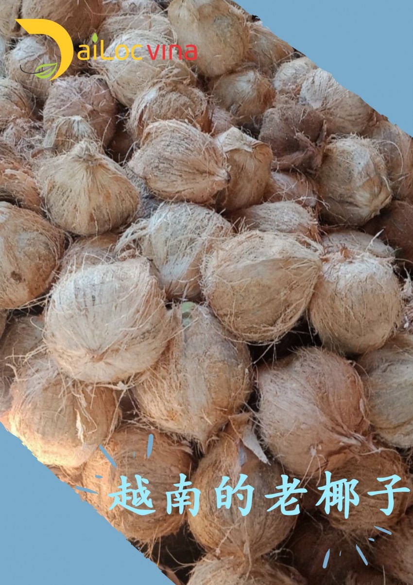 越南进口的老椰子，纯天然，无公害
