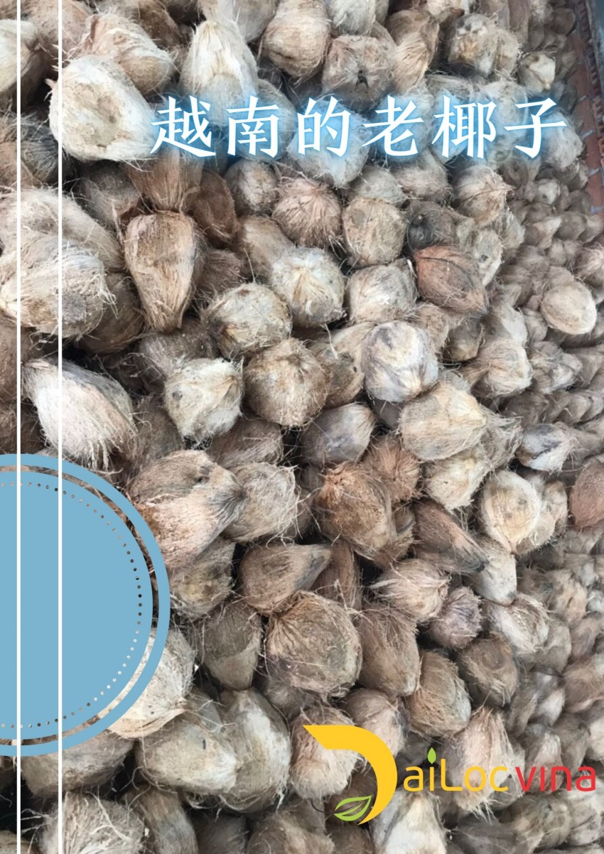 越南进口的老椰子，纯天然，无公害